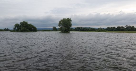 Rozvodnená Morava